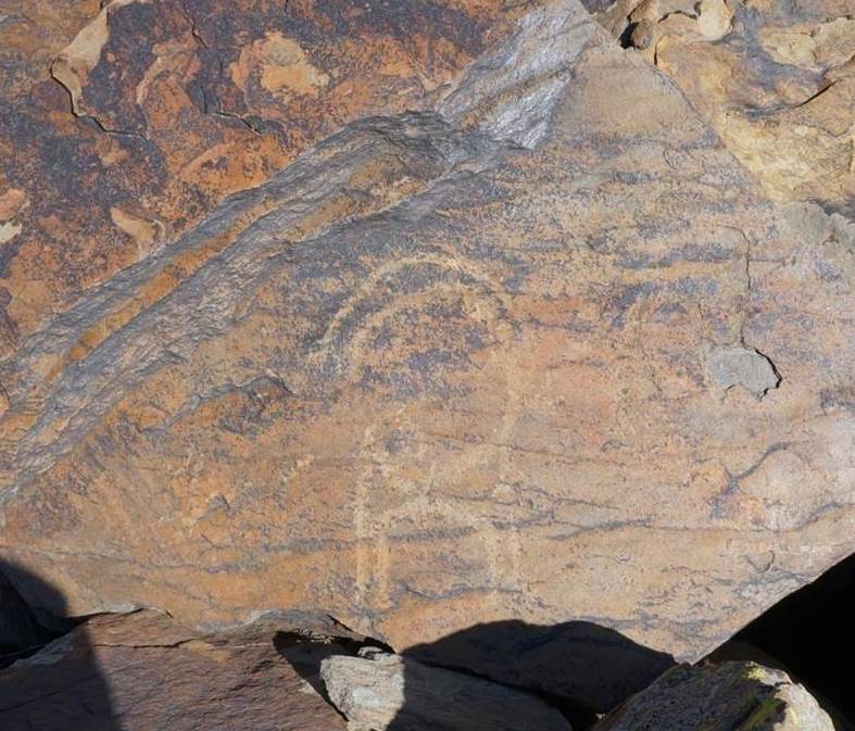 Древний петроглиф с изображением круторогого горного барана. Лахул, близ монастыря Шашур. 2016